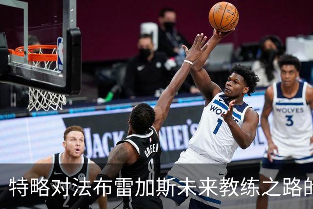 特略对法布雷加斯未来教练之路的看法